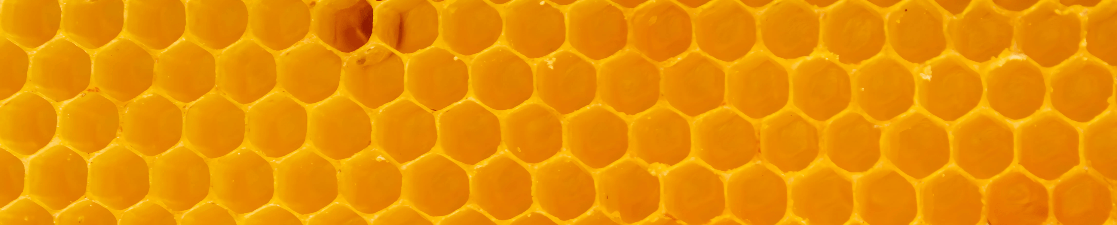 APİTERAPİ🐝