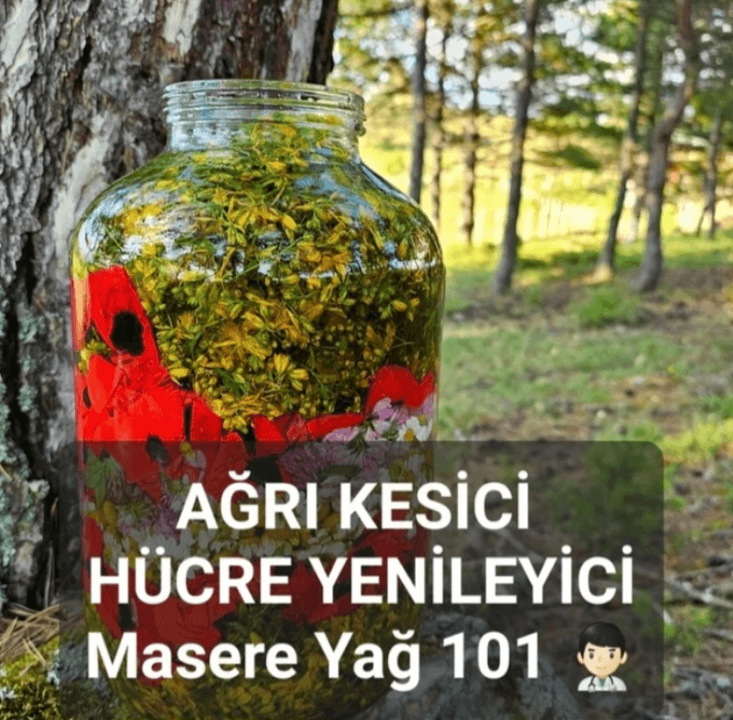 4'lü Karışım Kantaron Yağı "Sıradan kantoronları unutun, bu arkadaş zaten unutmanıza yardımcı olacaktır"